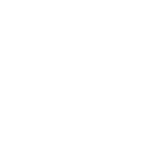 Logo-KLM-wit