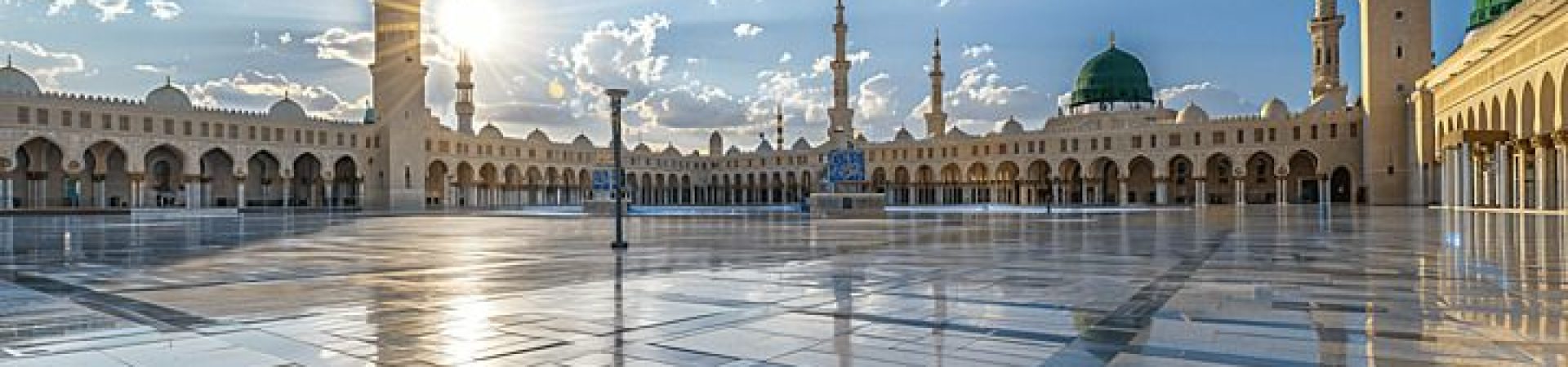 4db9af4a2fae073e3403523cd06d4229